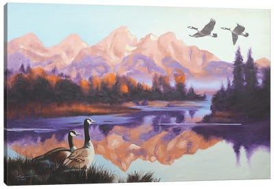 Canada Geese II Canvas Art Print - Canadian Culture