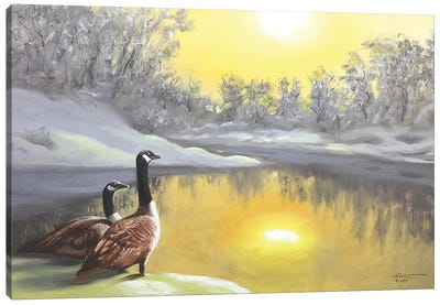 Canada Geese III Canvas Art Print - Goose Art