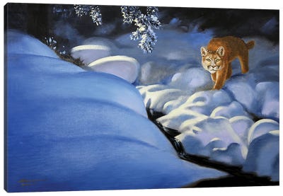 Cougar IV Canvas Art Print - Cougars
