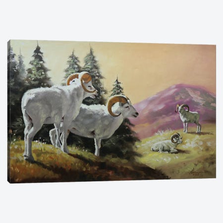 Dall Sheep Canvas Print #RSR616} by D. "Rusty" Rust Canvas Print