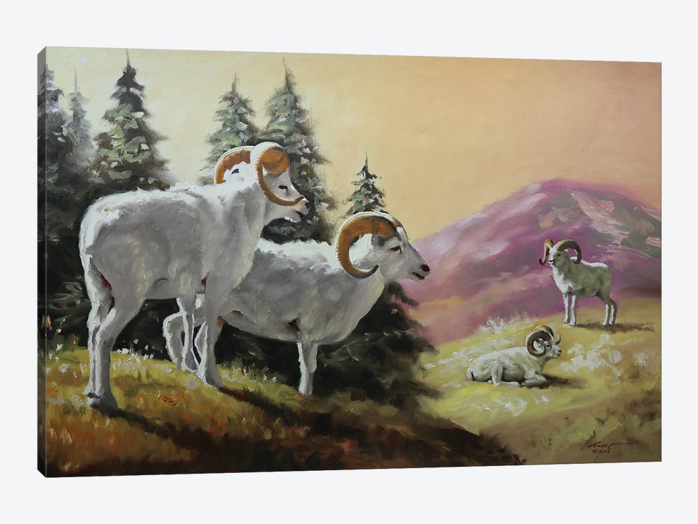 Dall Sheep by D. "Rusty" Rust 1-piece Canvas Artwork