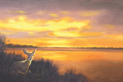 Deer V by D. "Rusty" Rust art print