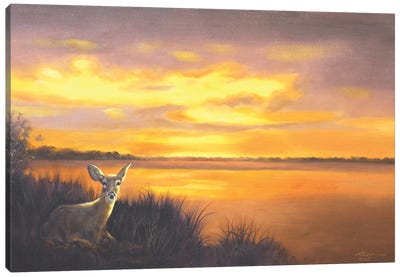 Deer V Canvas Art Print - D. "Rusty" Rust