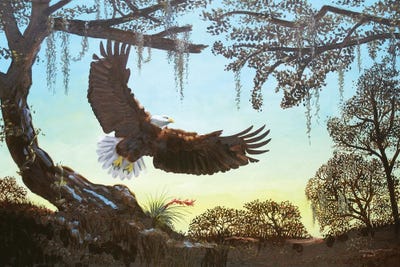 Eagle - Illusion by D. "Rusty" Rust framed canvas print
