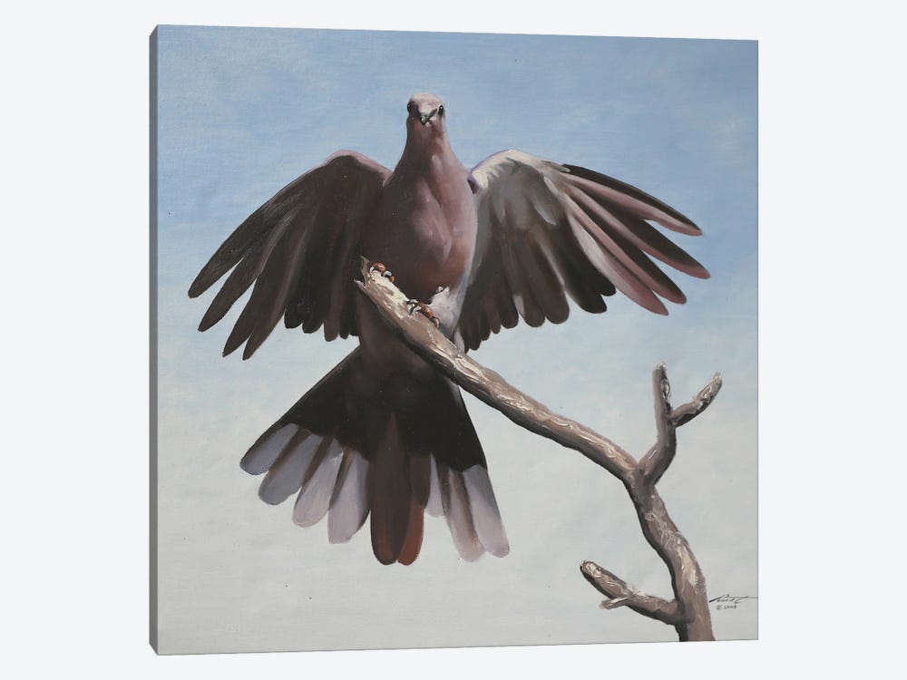 Dove by D. "Rusty" Rust 1-piece Canvas Print