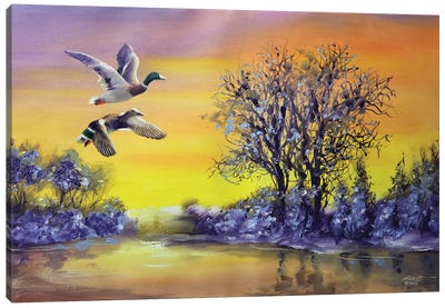 Ducks Canvas Art Print - D. "Rusty" Rust