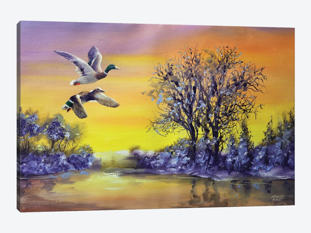 Ducks by D. "Rusty" Rust 1-piece Canvas Wall Art