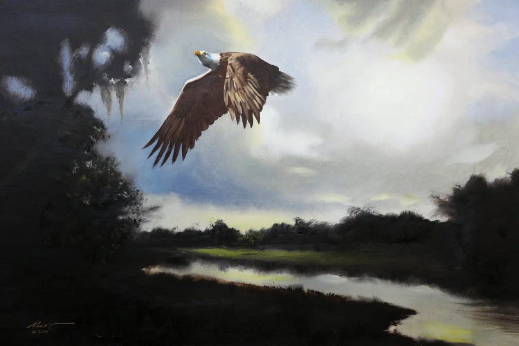 Eagle III by D. "Rusty" Rust wall art