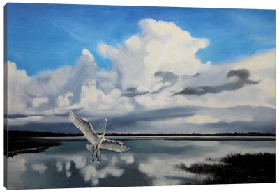 Egret IV Canvas Art Print - Egret Art