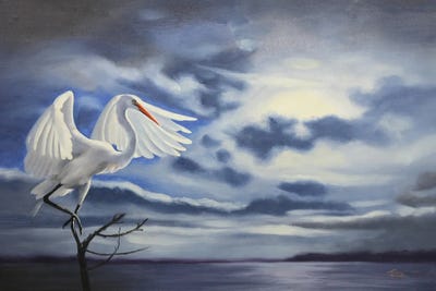 Egret V by D. "Rusty" Rust art print