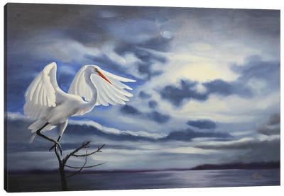 Egret V Canvas Art Print - Egret Art