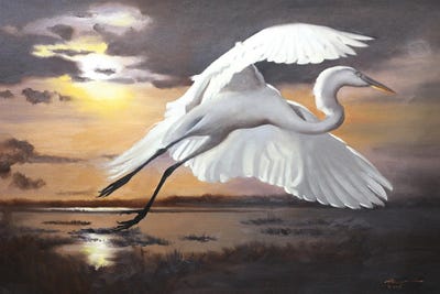 Egret VI by D. "Rusty" Rust art print