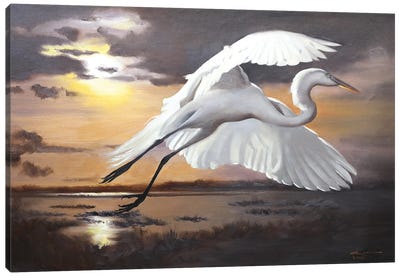 Egret VI Canvas Art Print - Egret Art