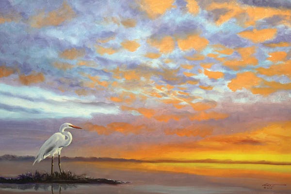 Egret VII