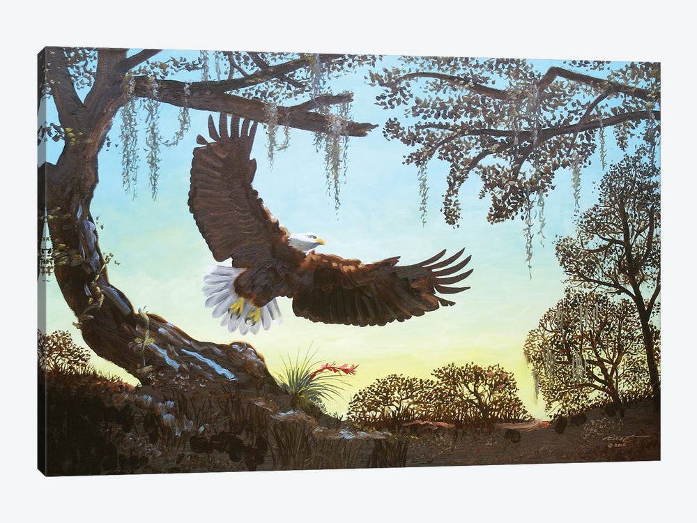 Eagle - Illusion by D. "Rusty" Rust 1-piece Art Print