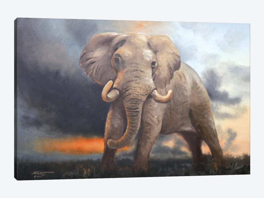Elephant III by D. "Rusty" Rust 1-piece Canvas Artwork