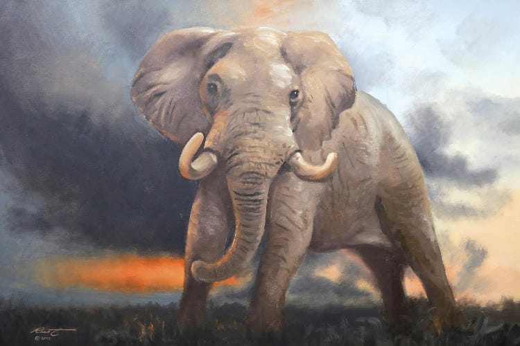 Elephant III by D. "Rusty" Rust wall art