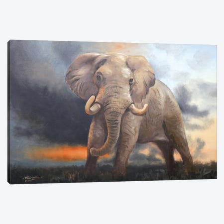 Elephant III Canvas Print #RSR630} by D. "Rusty" Rust Canvas Art