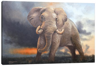 Elephant III Canvas Art Print - D. "Rusty" Rust