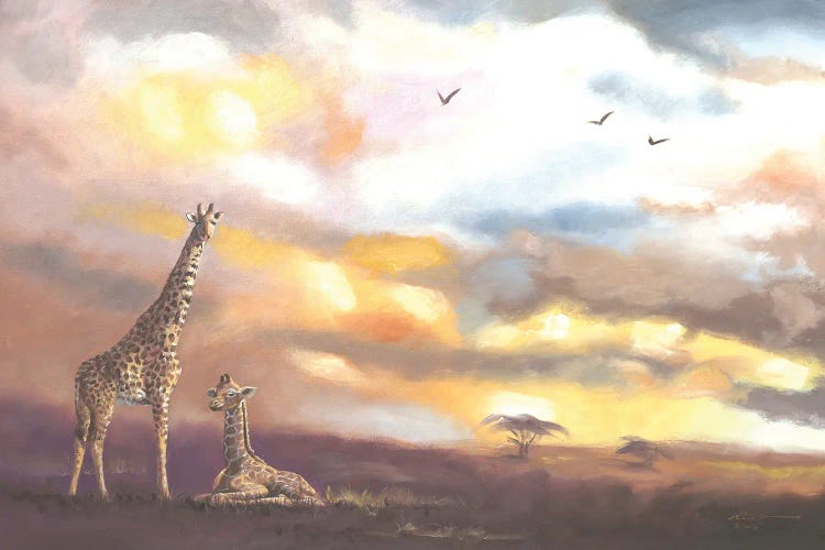 Giraffes