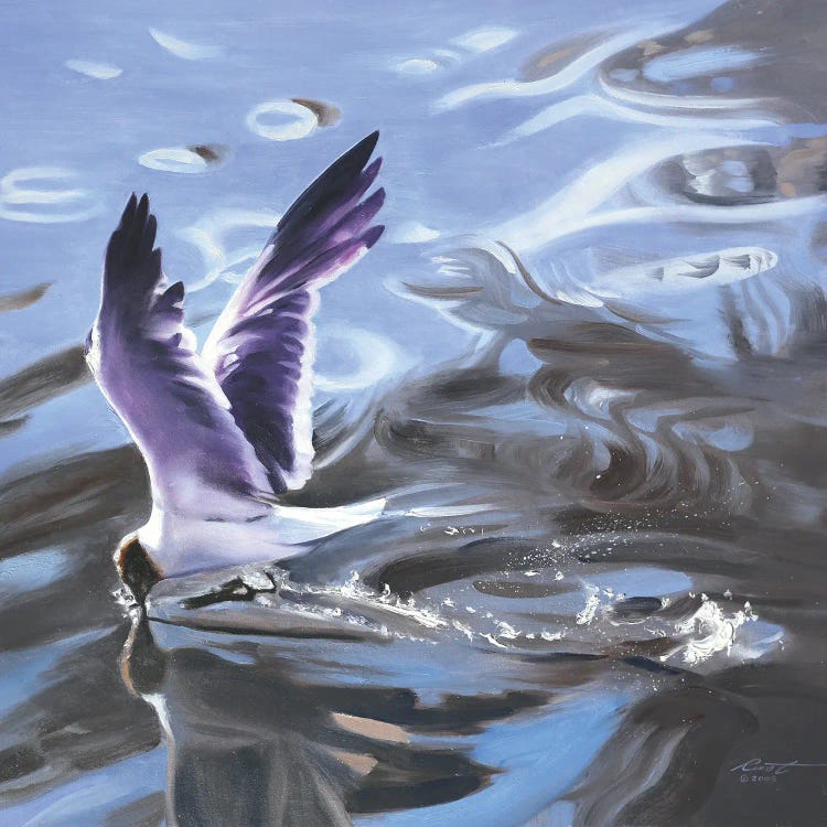 Gull by D. "Rusty" Rust wall art