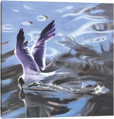 Gull Canvas Art Print - D. "Rusty" Rust
