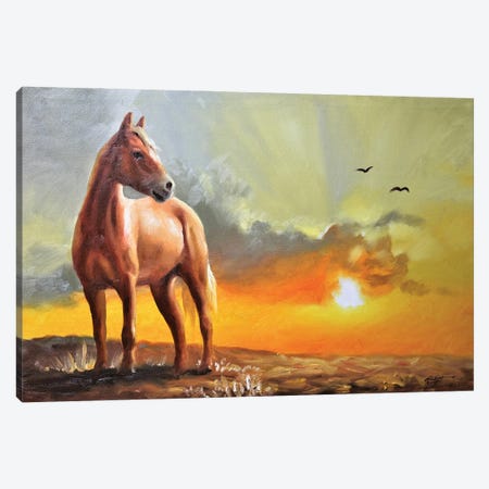Horse Canvas Print #RSR642} by D. "Rusty" Rust Canvas Art Print