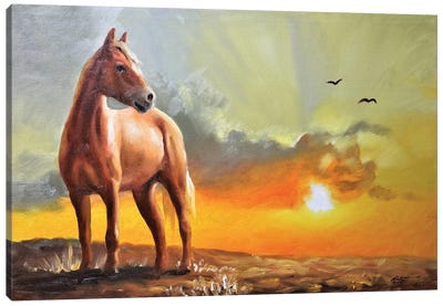 Horse Canvas Art Print - D. "Rusty" Rust