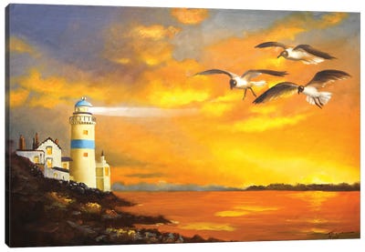 Lighthouse, Gulls Canvas Art Print - D. "Rusty" Rust