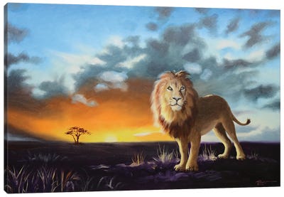 Lion III Canvas Art Print - D. "Rusty" Rust