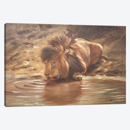Lion IV Canvas Print #RSR646} by D. "Rusty" Rust Canvas Artwork