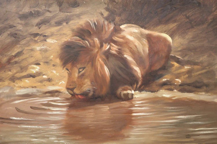 Lion IV