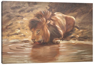 Lion IV Canvas Art Print - D. "Rusty" Rust