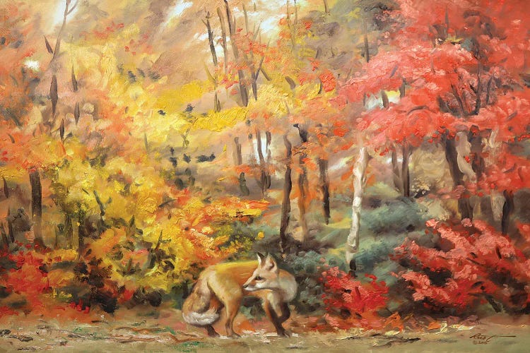 Red Fox In Autum Woods