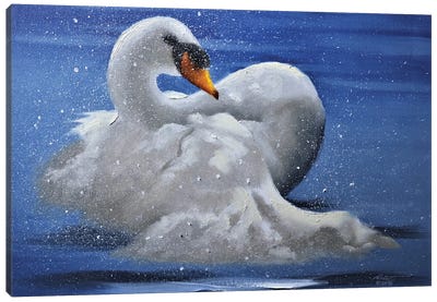 Mute Swan II Canvas Art Print - Swan Art