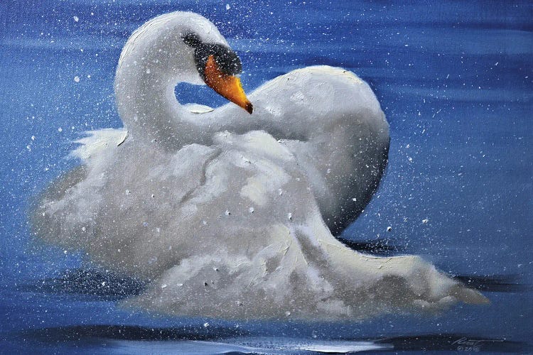 Mute Swan II