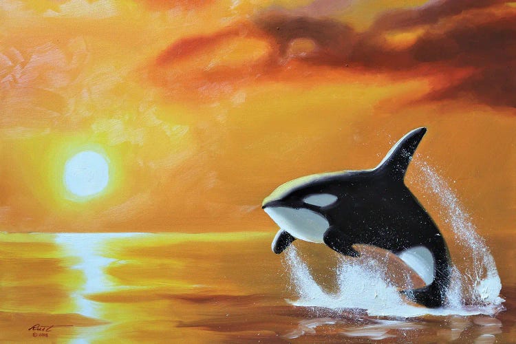 Orca Whale IV