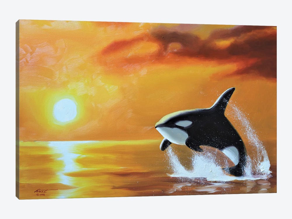 Orca Whale IV by D. "Rusty" Rust 1-piece Canvas Art