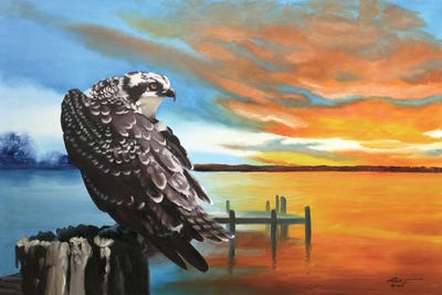 Osprey by D. "Rusty" Rust art print