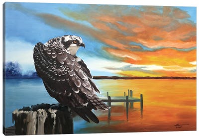 Osprey Canvas Art Print - Buzzard & Hawk Art
