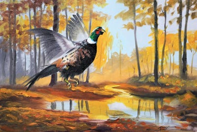 Pheasant II by D. "Rusty" Rust framed canvas print