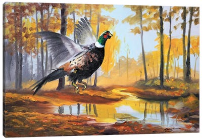 Pheasant II Canvas Art Print - D. "Rusty" Rust