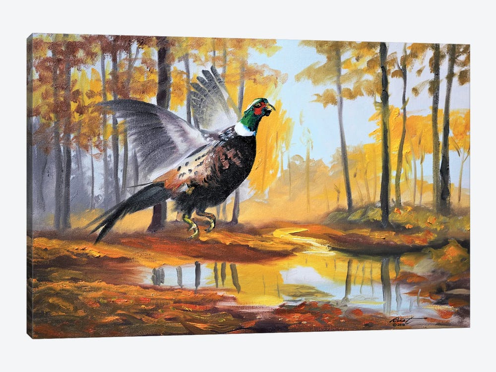 Pheasant II by D. "Rusty" Rust 1-piece Canvas Print