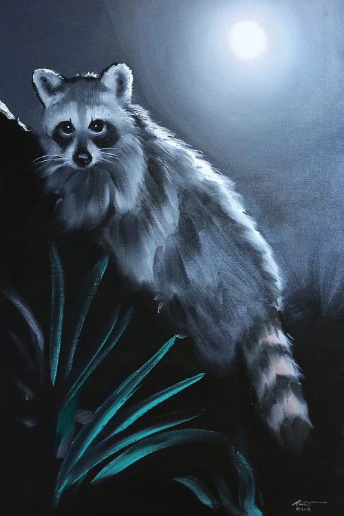 Raccoon III by D. "Rusty" Rust wall art