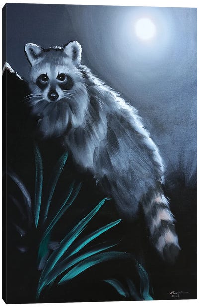 Raccoon III Canvas Art Print - Raccoon Art