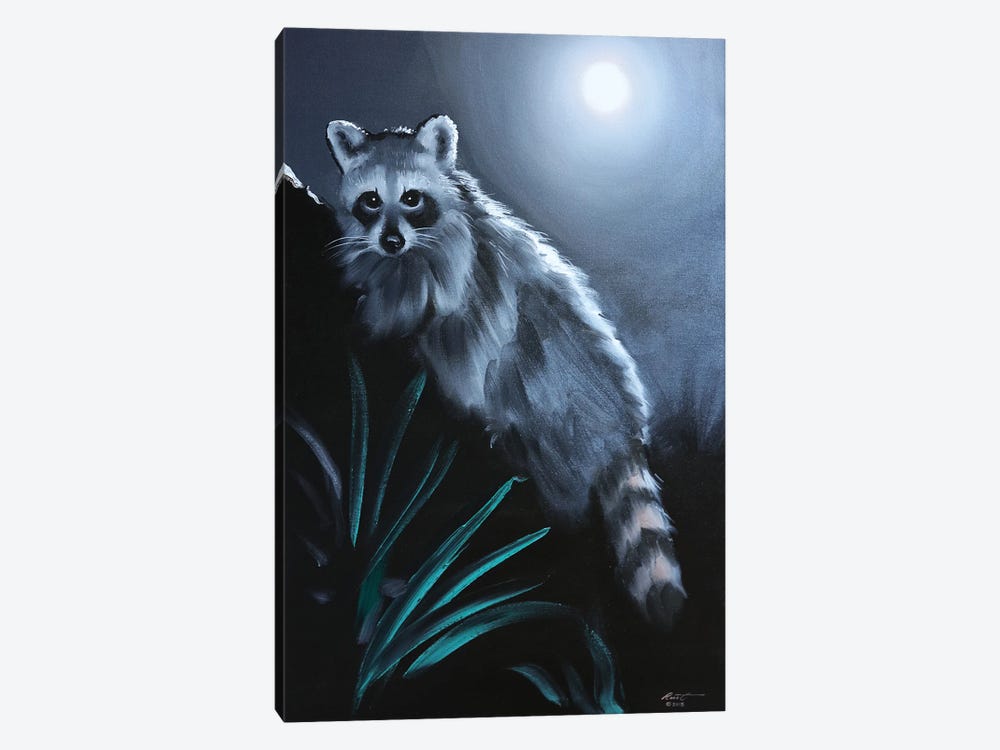Raccoon III by D. "Rusty" Rust 1-piece Canvas Artwork