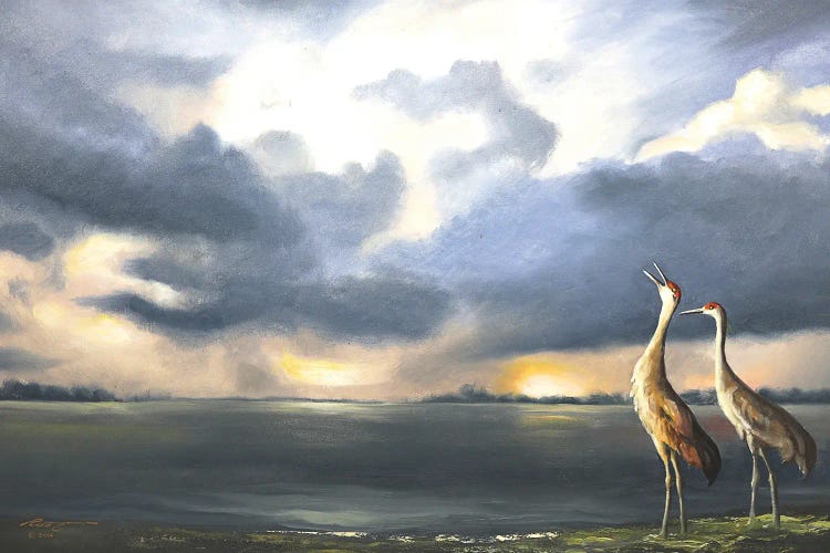 Sandhill Cranes