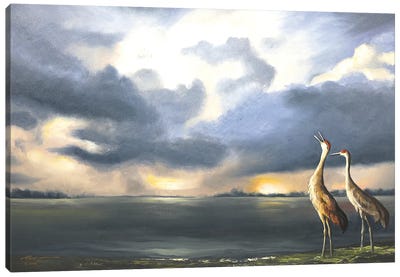 Sandhill Cranes Canvas Art Print - D. "Rusty" Rust
