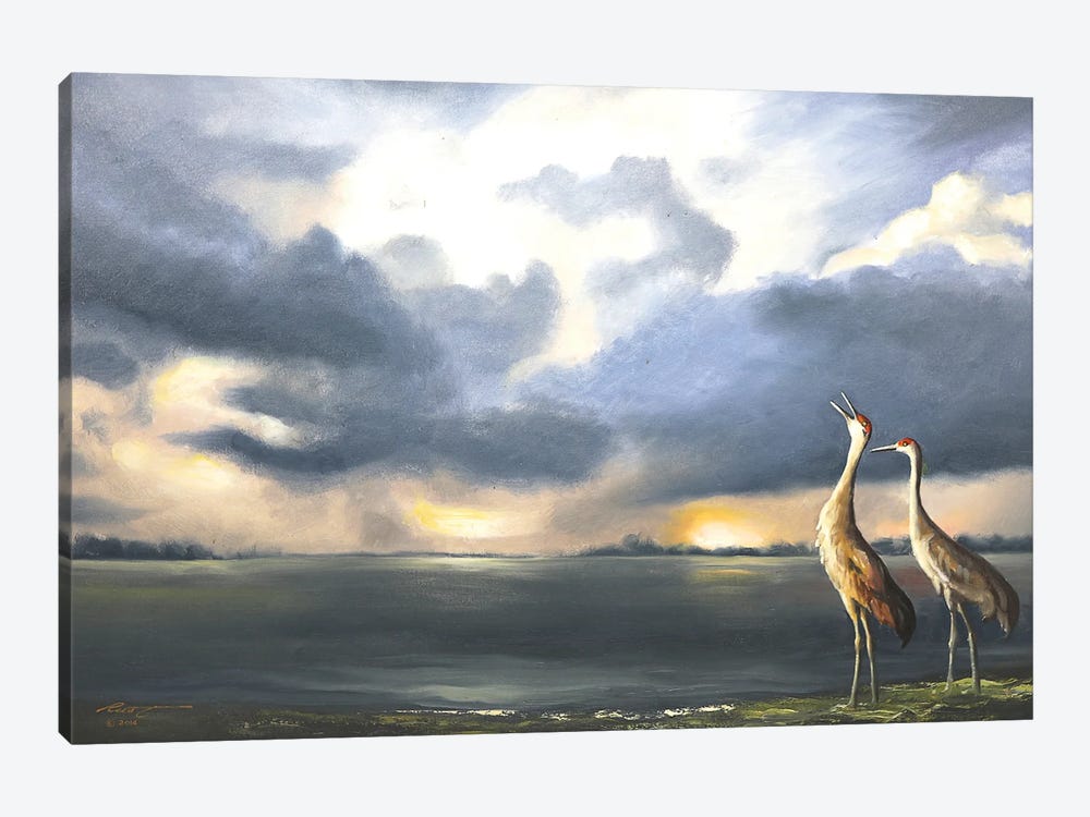 Sandhill Cranes by D. "Rusty" Rust 1-piece Art Print
