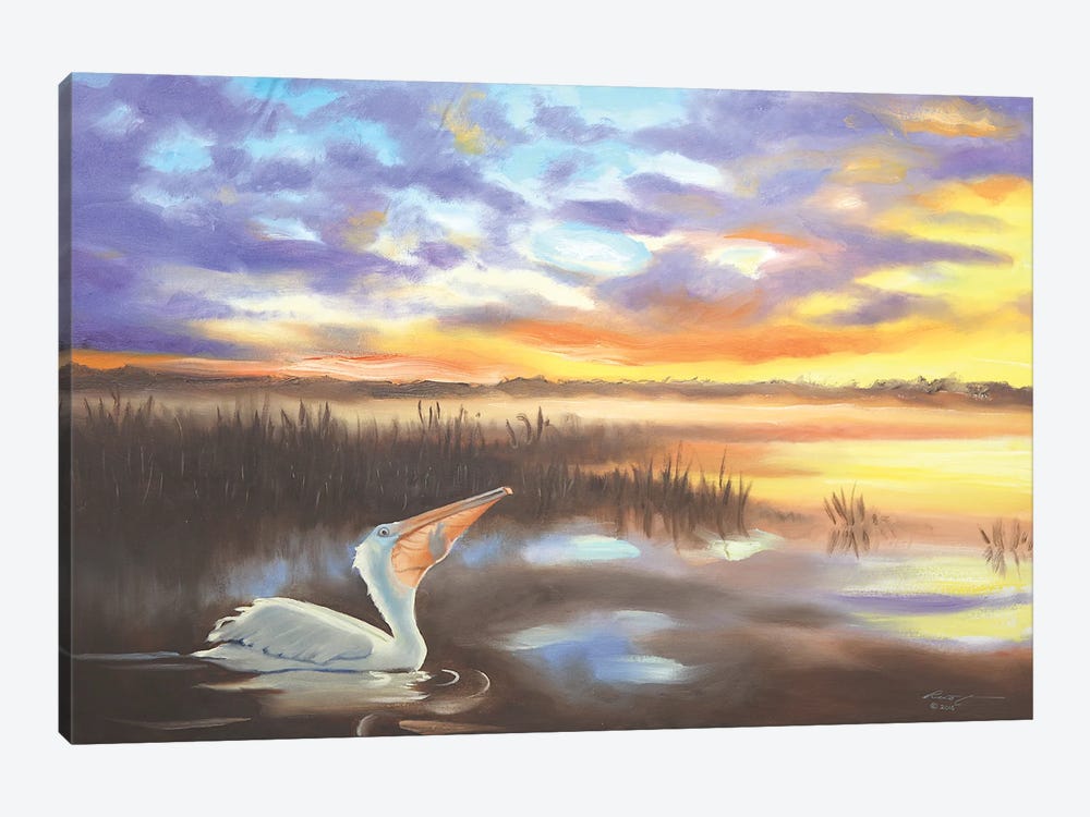 White Pelican I by D. "Rusty" Rust 1-piece Canvas Print